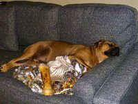 IMG_9047.jpeg