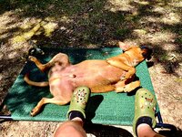 IMG_9049.jpeg