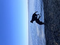 IMG_0742.jpeg