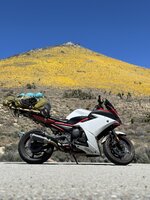 IMG_4955.jpeg