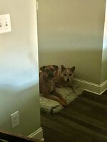 IMG_6724.jpeg
