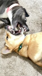 IMG_0624.jpeg