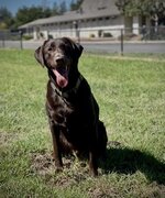 IMG_1781 Small.jpeg