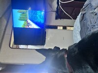 IMG_0701.jpeg
