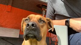 IMG_9319.jpeg