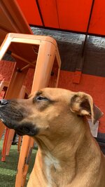 IMG_9318.jpeg