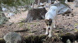 IMG_4899.jpeg