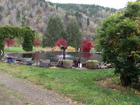 IMG_1992.jpeg