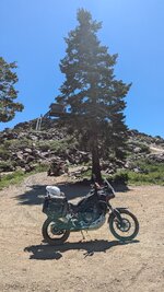 1000002099.jpg 1000002099.jpg