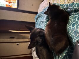 IMG_0782.jpeg