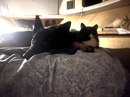 IMG_1095.jpeg