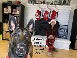NoStockingJoy.jpeg
