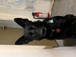 IMG_1102.jpeg