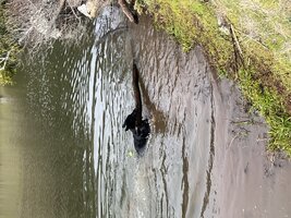 IMG_1194.jpeg