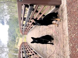 IMG_1200.jpeg