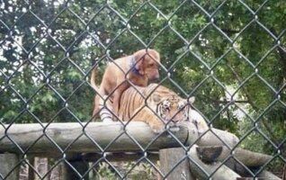 IMG_2303.jpeg