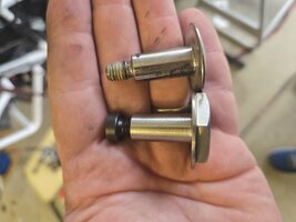 1000008233.jpg