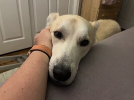 IMG_7340.jpeg