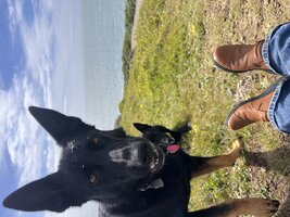 IMG_1283.jpeg