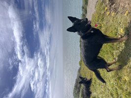 IMG_1285.jpeg