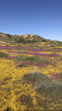 IMG_7964.png IMG_7964.png