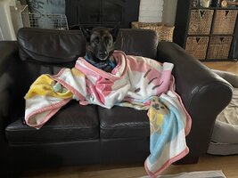 IMG_1270.jpeg