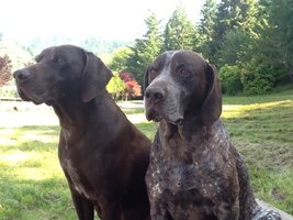 IMG_2464.jpeg