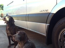 IMG_2465.jpeg