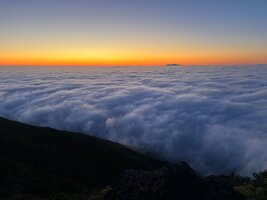 IMG_7775.jpeg