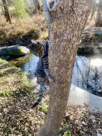 IMG_3612.jpeg