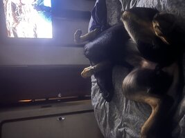 IMG_1608.jpeg