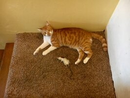 IMG_8443.jpeg