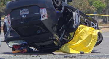 1749828898142.png 1749828898142.png