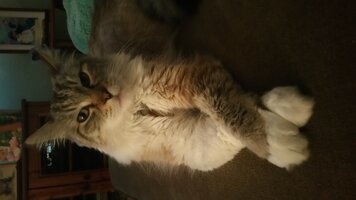 20160327_183029.jpg
