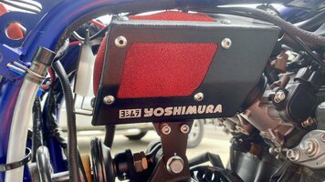 IMG_4461.jpeg