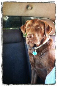 RIley-truck-swimming.jpeg RIley-truck-swimming.jpeg