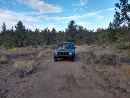 IMG_20190910_174552915_HDR.jpg