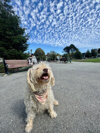 IMG_0105.jpeg