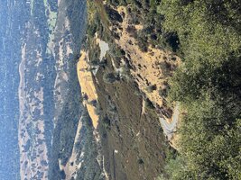 IMG_1382.jpeg
