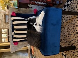 IMG_8086.jpeg
