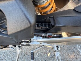 IMG_8075.jpeg