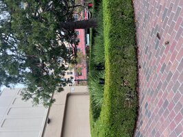 IMG_2154.jpeg