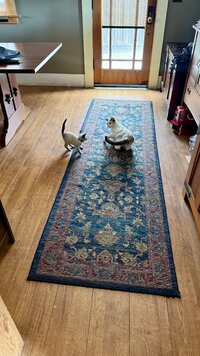 IMG_5260.jpeg