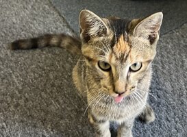 IMG_3031.jpeg