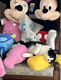 IMG_2873.jpeg