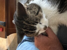 IMG_5317.jpeg