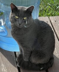 IMG_3084.jpeg