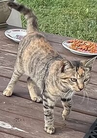 IMG_3065.jpeg