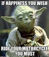 Yoda rides.jpg