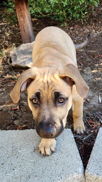 1000019553.jpg 1000019553.jpg